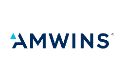 Amswins