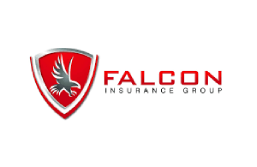 Falcon Insurance
